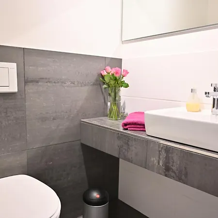 Sasano Mountain View Lägenhet Schladming